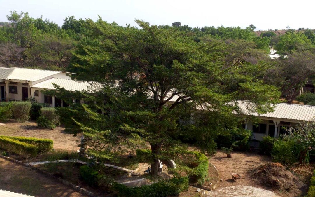 Carmel Notre-Dame des Apôtres – Figuil Cameroun