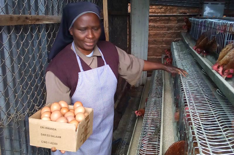 Carmel de Kigali - Les œufs